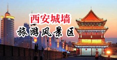 男生的鸡巴插入女生逼里的小视频中国陕西-西安城墙旅游风景区